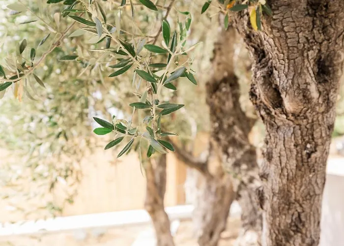 Topos Apartamento Lassi (Kefalonia)