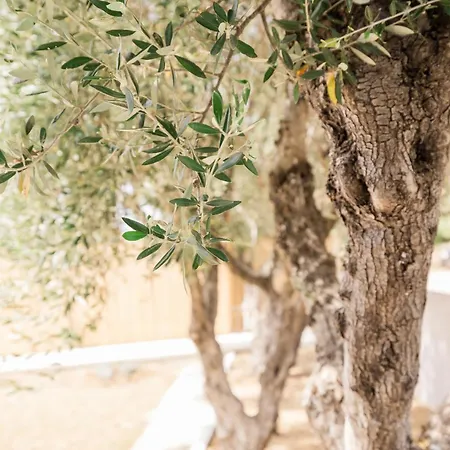 Topos דירה לאסי